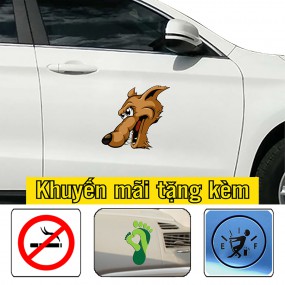 Tem trang trí sườn xe ô tô mới lạ