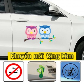 Tem trang trí sườn xe phong cách