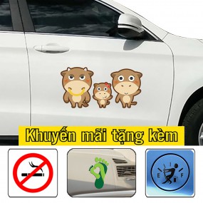 Tem xe dán ô tô trang trí