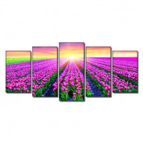 Tranh Bộ 5 Tấm Ghép